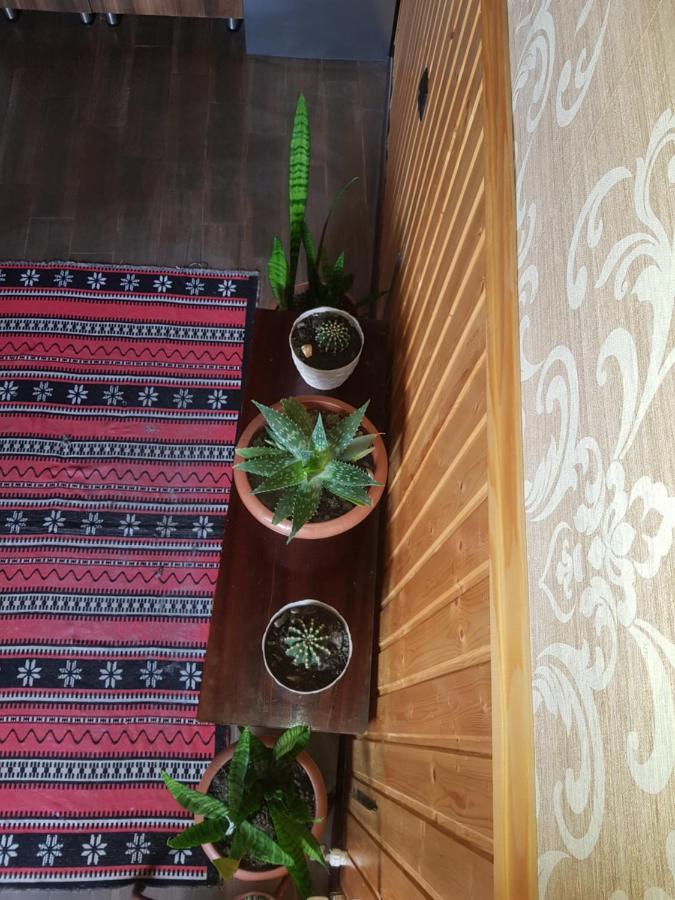 Cozy House Kazbegi Hotel Luaran gambar