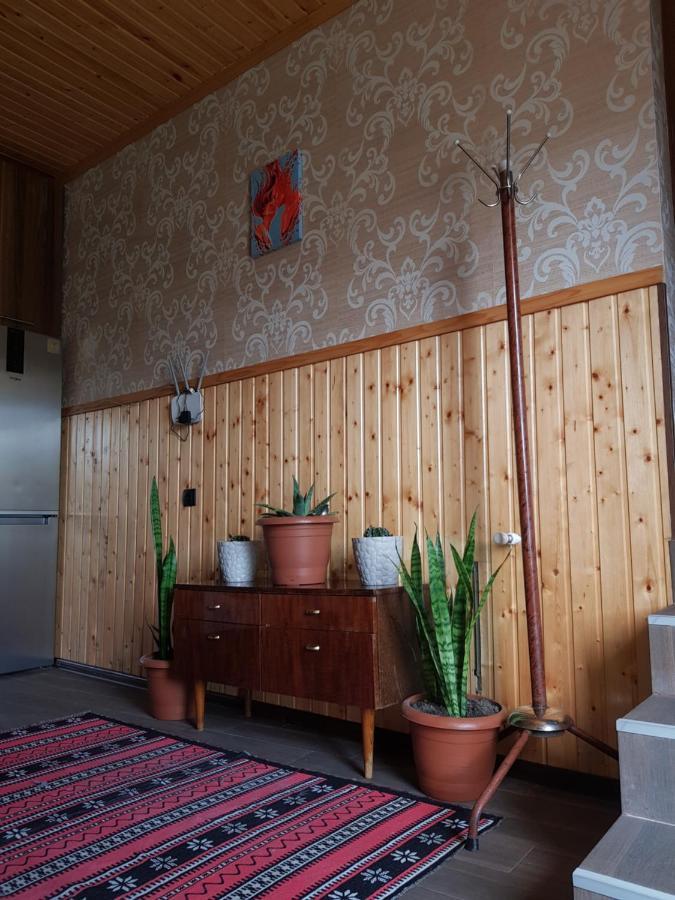 Cozy House Kazbegi Hotel Luaran gambar